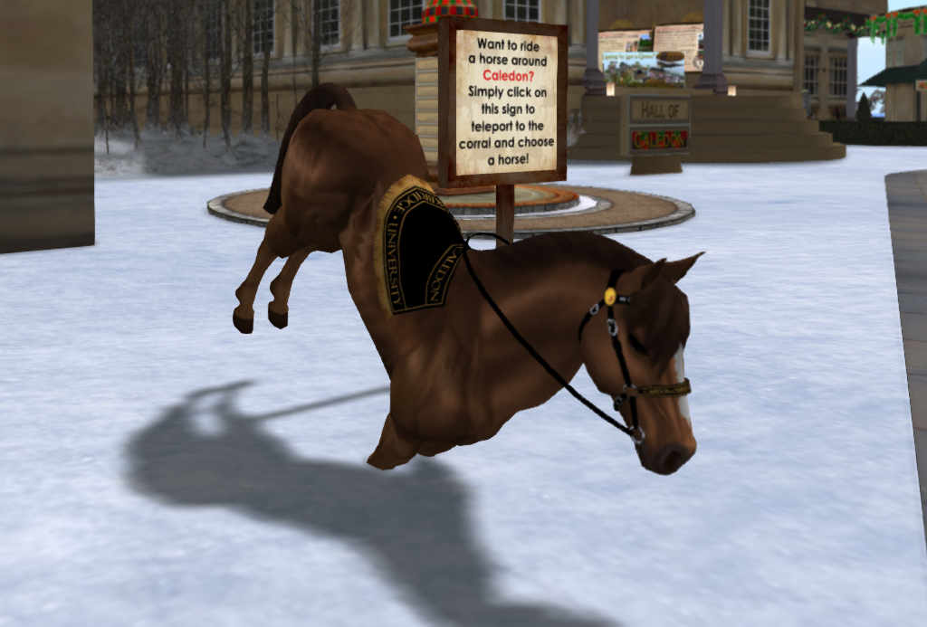 Horse Animesh_001.jpg